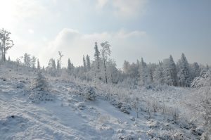 Odpoczynek w Beskidach – ferie zimowe w górach. Kwatery Szczyrk