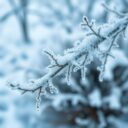 Krem na mróz – klucz do ochrony skóry w zimowych warunkach